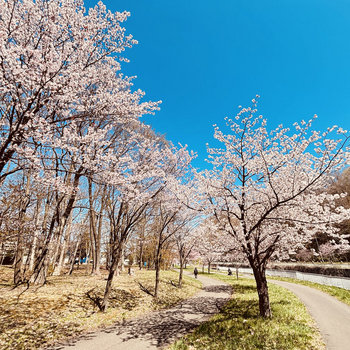 Blossom